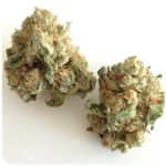 Шишки "White Widow" (Белая вдова) Гидропоника - Бошка VHQ в Буйнакске Шишки "White Widow" (Белая вдова) Гидропоника - Бошка VHQ в Буйнакске