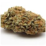 Шишки AK47 (Гидропоника, Бошка) VHQ в Буйнакске Шишки AK47 (Гидропоника, Бошка) VHQ в Буйнакске