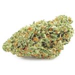 Шишки OG Kush (Гидропоника, бошки) VHQ в Буйнакске Шишки OG Kush (Гидропоника, бошки) VHQ в Буйнакске